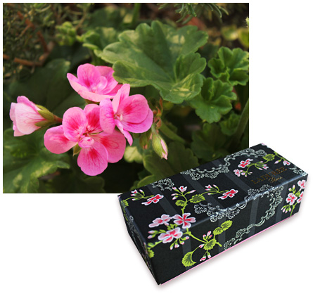 ���f�����̃}�J����