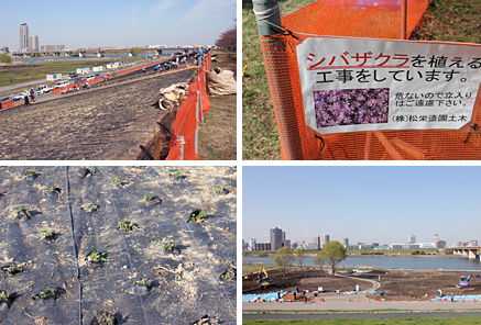 �ԉH�╣�̎ō�