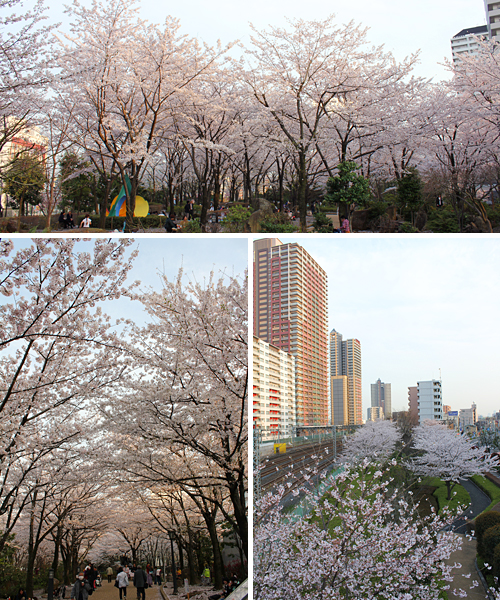 ����������̍�