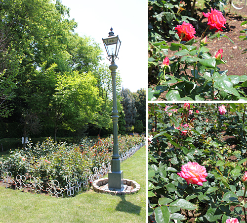 ����s���O���[���Z���^�[�̃o����