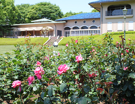 ����s���O���[���Z���^�[�̃o����