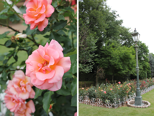 ����s���O���[���Z���^�[�̃o����