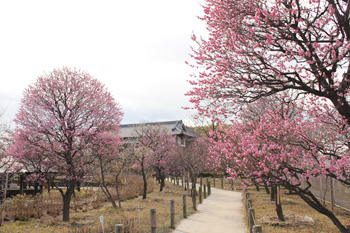 ������s�s�_�ƌ����̔~��