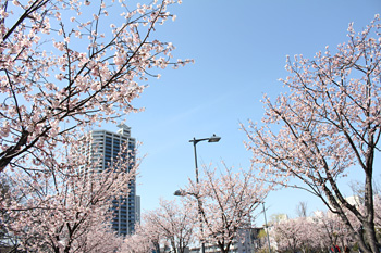 ��������w�̈��s��