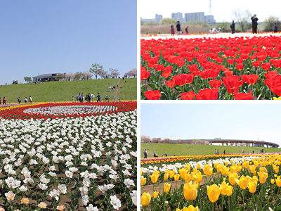 ������s�s�_�ƌ����̃`���[���b�v