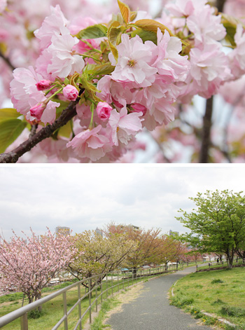 �r��^�������̔��d��