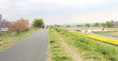 �r��^�������̍؂̉�