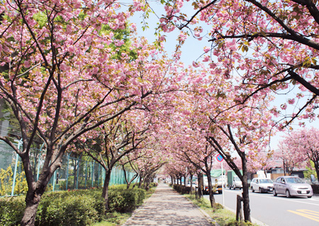 ������s�s�_�ƌ����̔��d��