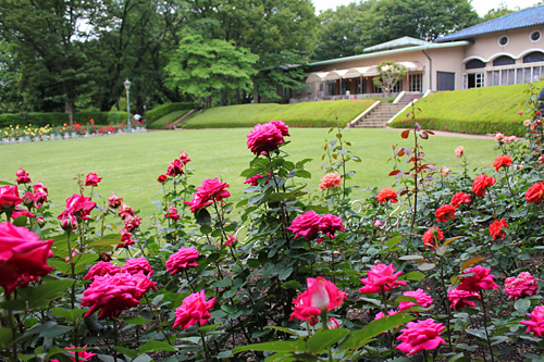 ����s���O���[���Z���^�[�̃o����