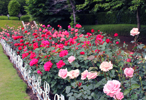 ����s���O���[���Z���^�[�̃o����