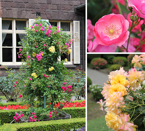 ����s���O���[���Z���^�[�̃o����