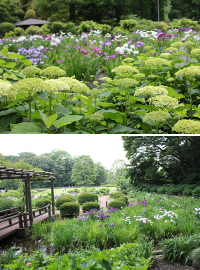 2011�N�A����s���O���[���Z���^�[�̉ԏҊ���