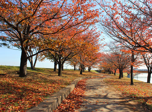 �r��⟺�̍����؂̍g�t