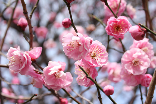 ������s�s�_�ƌ����̔~��