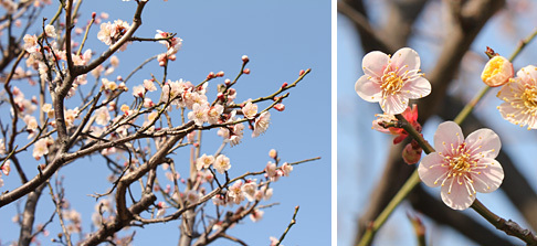 ������s�s�_�ƌ����̔~��