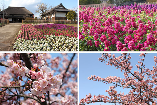 ������s�s�_�ƌ����̔~��