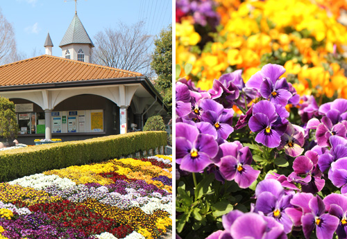 ����O���[���Z���^�[�̃J���t���ȃp���W�[