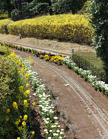 ����O���[���Z���^�[�̃J���t���ȃp���W�[