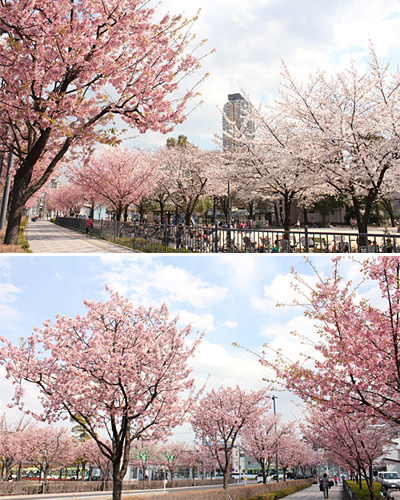 �Ő�����̐���g��ƈ��s��