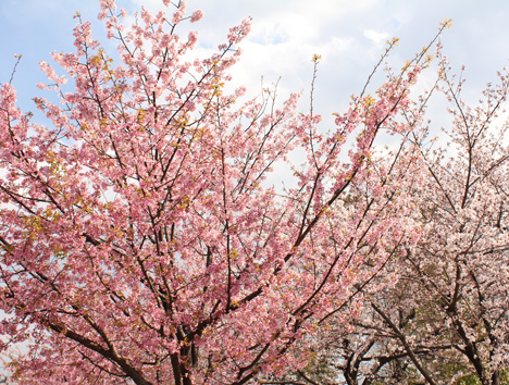 �Ő�����̐���g��ƈ��s��