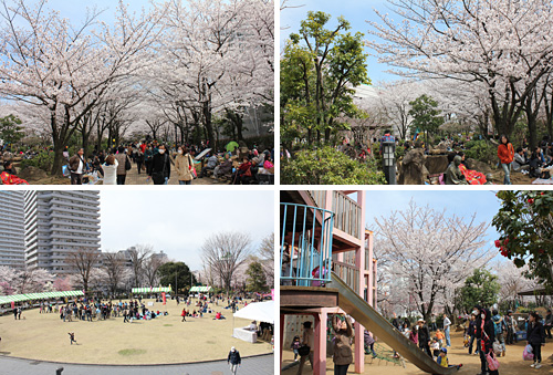 ����������̍��܂�