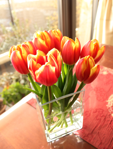 �`���[���b�v