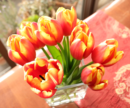 �`���[���b�v