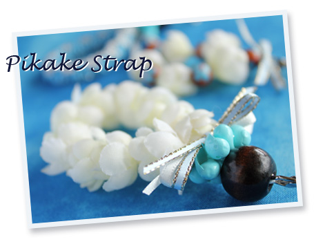 �n���C�A���s�J�P�X�g���b�v